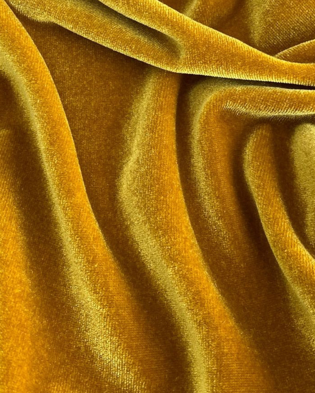 Terciopelo Stretch